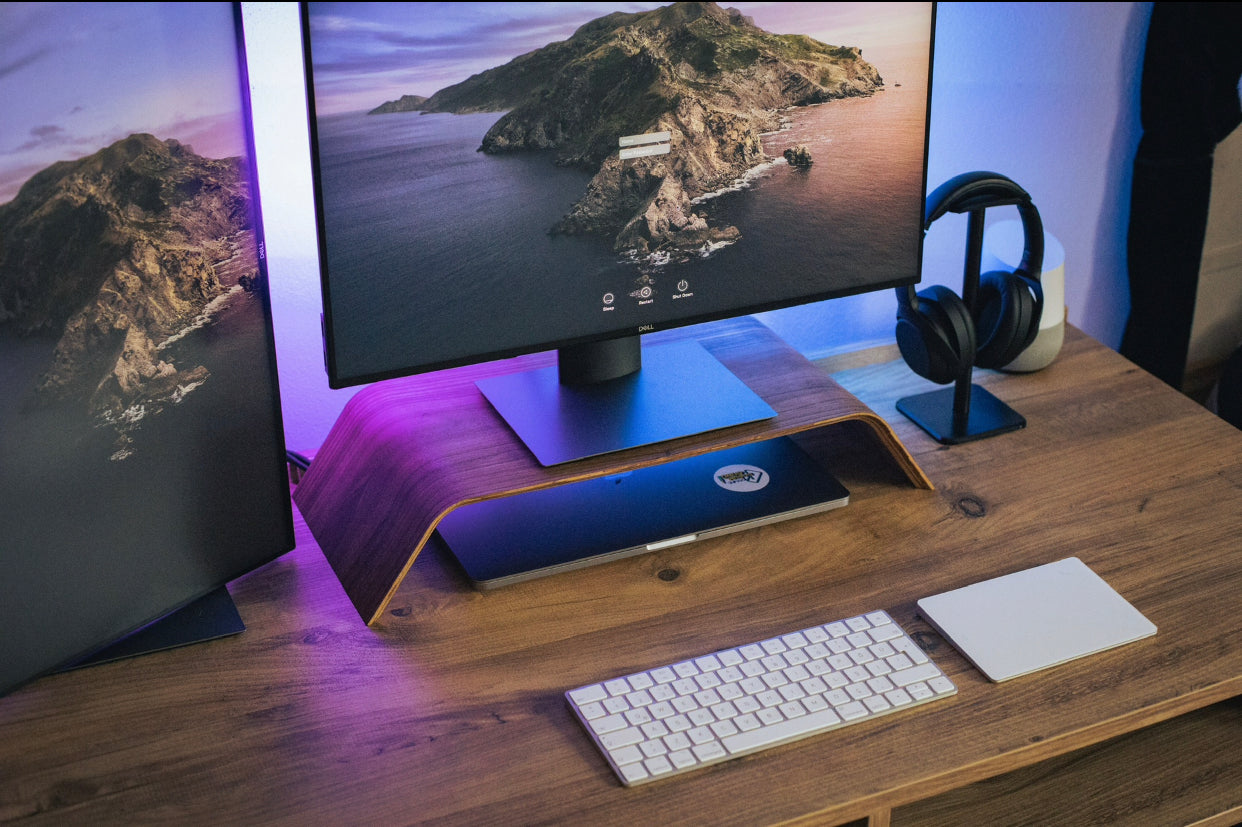 Computer Screen Projectors